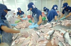 东盟各国加大对越南查鱼产品的进口力度