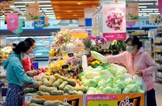 12月胡志明市居民消费价格指数下降0.07%