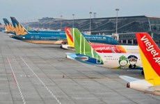越南航空局提议扩充机队 以更好地满足游客的出行需求