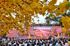 胡志明市举行2023年喜迎民族传统春节活动