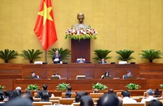 越南第十五届国会第二次特别会议：讨论国家总体规划