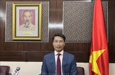 经济外交：越南与中国香港贸易投资合作的新浪潮