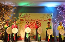 越南驻外大使馆纷纷举行2023年迎新春活动 增进越南人之间的团结暖人心