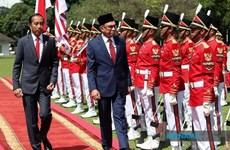 印度尼西亚和马来西亚一致同意加强东盟的作用