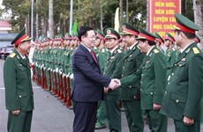 越南国会主席王廷惠向安江省武装力量致以新春祝福