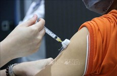1月15日越南新增新冠肺炎确诊病例数创下24个月以来新低