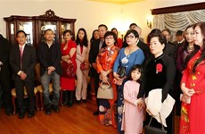 旅居海外越南人的迎新春活动纷纷举行