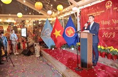 越南驻各国大使馆举行迎新春活动 共叙亲情友情乡情