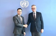 联合国副秘书长高度评价越南积极和有效参与维和行动