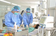  1月19日越南新增新冠肺炎确诊病例仅30例