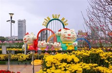  岘港市春节气氛浓起来