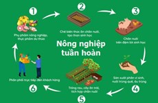2022年越南循环农业发展迈出新一步 