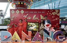 印度亿万富翁的婚礼在岘港市举行 近700名宾客参加