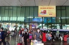 胡志明市新山一机场大年初八起降航班近920个