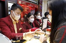 1月30日上午财神节前夕越南国内一两黄金卖出价下降40万越盾