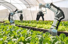 2030年科技与创新对农业增长的贡献率达50%以上