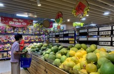 春节当月越南社会消费品零售和服务收入总额增长20%
