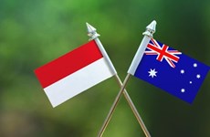 印度尼西亚和澳大利亚合作加强公职人员能力建设