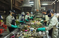 ​ 越南确保至少96%的城市生活垃圾得到处置