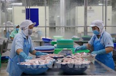 越南新增23家水产品出口企业获批出口中国