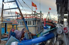渔民年初挺进长沙、开启新年捕捞季