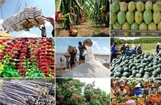 年初以来越南多种农产品出口成绩可观