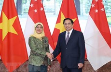 范明政总理正式访问两国之旅提升越南与新加坡和文莱之间的双边合作水平