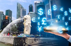 专家:新加坡是越南科技企业进军地区市场的“门户”