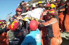 土耳其和叙利亚强震：越南驻土耳其大使馆积极参加救援工作