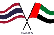 泰国和阿联酋开启《全面经济伙伴关系协定》 