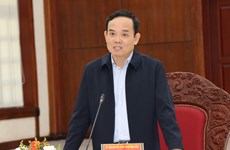 陈流光副总理：西原地区各省须加快三项国家目标计划实施进度