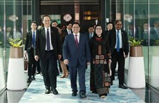 新加坡专家高度评价越南政府总理范明政的访新之旅