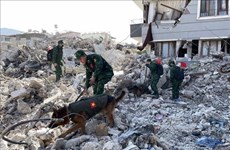 土叙强震：越南政府向土耳其和叙利亚提供紧急援助