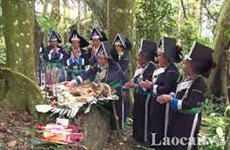林神祭祀仪式--老街省各少数民族保护森林的承诺