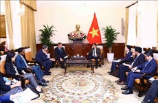 越南外交部长会见欧盟-东盟商业理事会和越南欧洲商会代表团