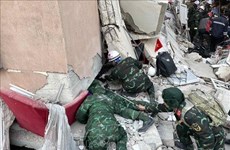 土耳其和叙利亚地震：国际舆论高度赞赏越南支援救灾力量