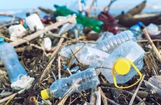 “减少越南旅游业的塑料垃圾”项目正式启动