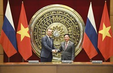 越南国会副主席阮克定与俄罗斯联邦委员会第一副主席安德烈·亚茨金举行会谈
