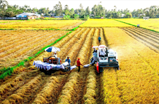 越南力争2030年农业领域吸引外国直接投资资金达250亿美元的目标