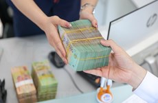 2023年越南信贷增长率可达14~15%