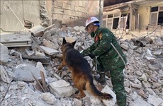 土叙强震：越南人民军救援力量继续在废墟中找到两名遇难者