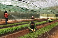 昆嵩省各个乡村积极应用科技于农业生产