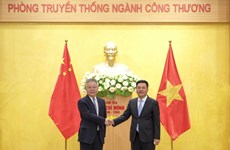 促进越南与中国海南省之间的经贸合作