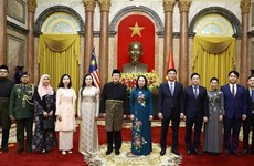 越南国家代主席武氏映春接受三国新任驻越大使递交国书