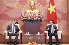 越南国会主席王廷惠会见欧洲议会外交事务委员会主席大卫·麦卡利斯特