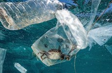 环保：泰国维持世界生物塑料生产第二大国