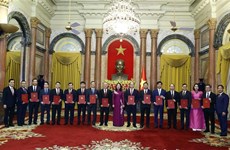 越南国家代主席向15位新任驻外大使颁发任命书