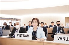 黎氏雪梅大使：越南继续促进各项倡议提高联合国人权理事会的运行质效
