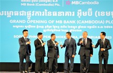 越南军队股份商业银行在柬分行正式揭牌