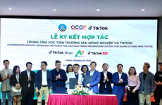 越南一乡一品业主促进数字化转型进程